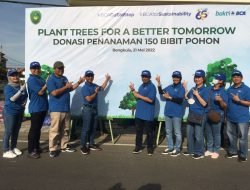 Dukung Program Penghijauan, BCA dan Pemkot Bengkulu Tanam 150 Bibit Pohon Ketapang