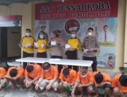 8 Tersangka di Amankan Sat Narkoba Polres Kota Bengkulu