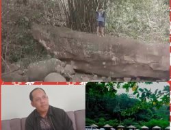 Prasasti Batu Jung Desa Rindu Hati Diusulkan Jadi Cagar Budaya