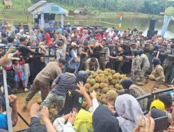 Tempo 10 Menit, Seribu Lima Ratus Durian Ludes Dibagikan Dalam Festival Durian