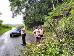 Pohon Tumbang di Desa Tebat Monok,Satlantas Kepahyang dan Tim BPBP Bergerak