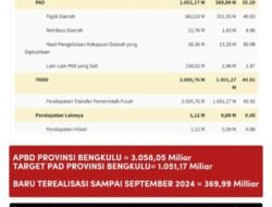 Menyoal PAD Provinsi Bengkulu,Edison Simbolon: Rohidin Penyebar Hoax