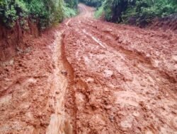 Makin Panik, “Dikandang” Romer,Elektabilitas Helmi Makin Kuat