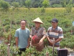 Cinta Bengkulu Helmi Hasan Dorong Yandri Putra Bengkulu Jadi Menteri