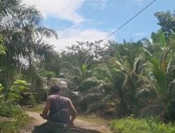 Truk Batu Bara Hancurkan Jalan Provinsi Bengkulu,Helmi Hasan DiCaci Maki