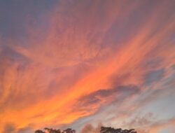 Bengkulu Negeri Tak Pernah Dewasa