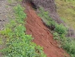 Diduga Akibat Siring Gajah,Jalan Lintas Pasar Pedati Sekayun Longsor