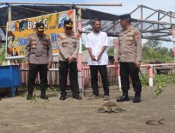 Kapolda Benglulu Irjen Pol. Mardiyono,Rehab Rumah Penyu Pekik Nyaring