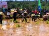 Cetak Sawah Sukses,Bengkulu Berpotensi Hasilkan 28 Ribu Gabah Kering