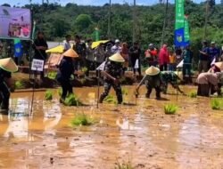 Cetak Sawah Sukses,Bengkulu Berpotensi Hasilkan 28 Ribu Gabah Kering