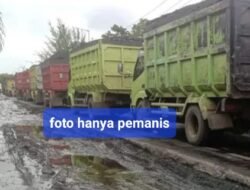 UU Larang Truck Batu Bara Lewat Jalan Umum,Kok di Bengkulu Bisa Bebas