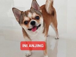 Penjilat Yang Berkarya Tengah Tantangan Zaman