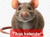 Dugaan Korupsi Penggandaan  Kalender Diusut Polda Bengkulu