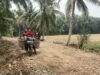 Dampak Domino Jalan Mulus TMMD ke-130 Kodim 0407/Kota Bengkulu Untuk Petani Kandang Limun