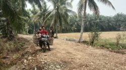 Dampak Domino Jalan Mulus TMMD ke-130 Kodim 0407/Kota Bengkulu Untuk Petani Kandang Limun