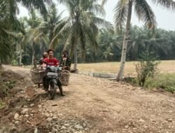 Dampak Domino Jalan Mulus TMMD ke-130 Kodim 0407/Kota Bengkulu Untuk Petani Kandang Limun